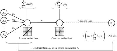 Accurate Prediction of Children's ADHD Severity Using Family Burden Information: A Neural Lasso Approach